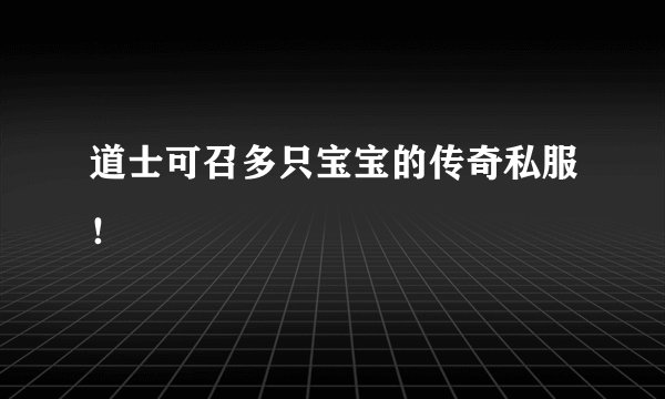 道士可召多只宝宝的传奇私服！