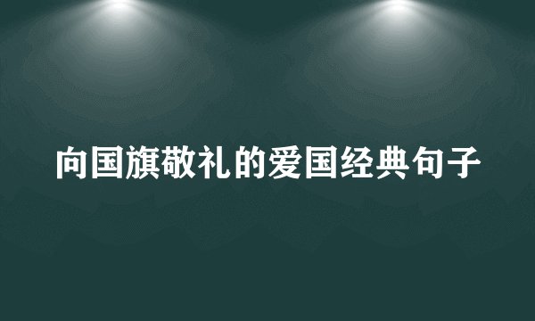 向国旗敬礼的爱国经典句子