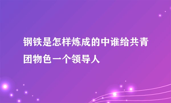 钢铁是怎样炼成的中谁给共青团物色一个领导人