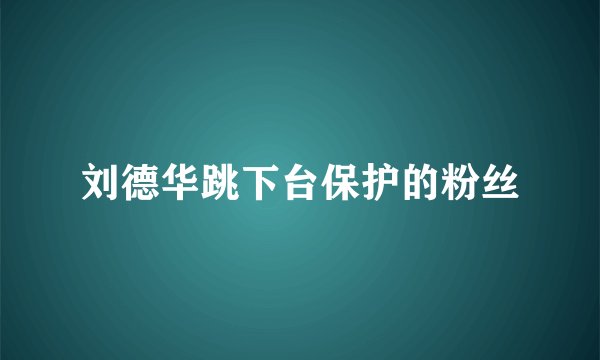 刘德华跳下台保护的粉丝
