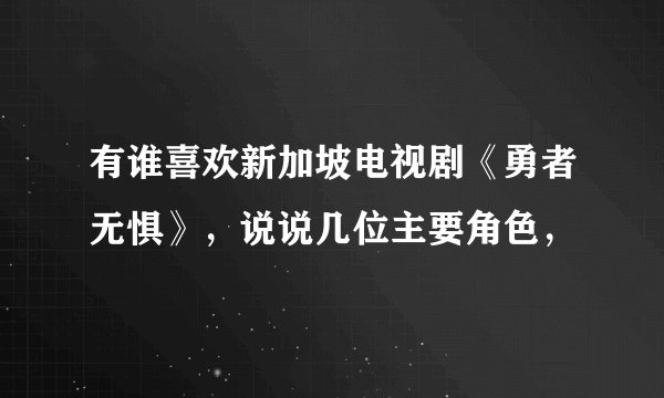 有谁喜欢新加坡电视剧《勇者无惧》，说说几位主要角色，