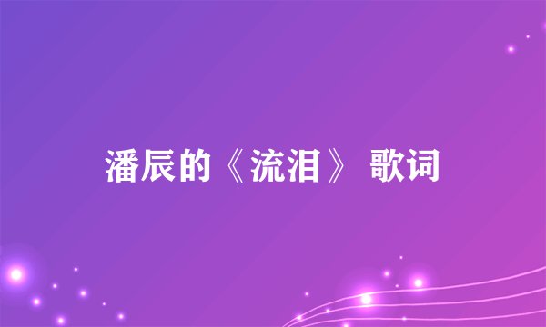 潘辰的《流泪》 歌词