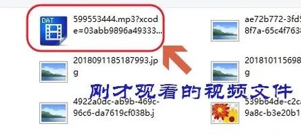 如何将视频下载到电脑上?