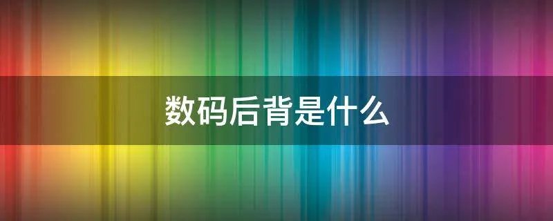 数码后背是什么