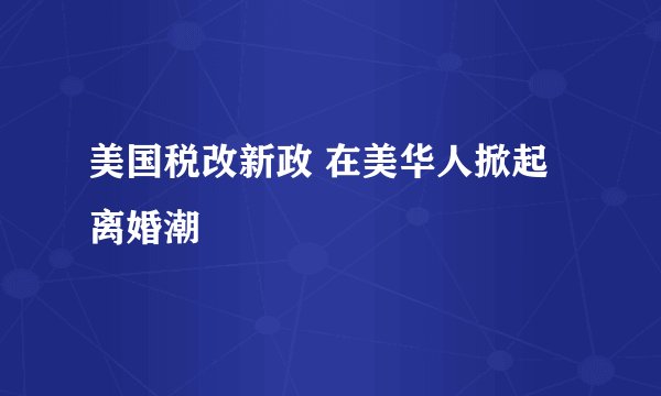美国税改新政 在美华人掀起离婚潮