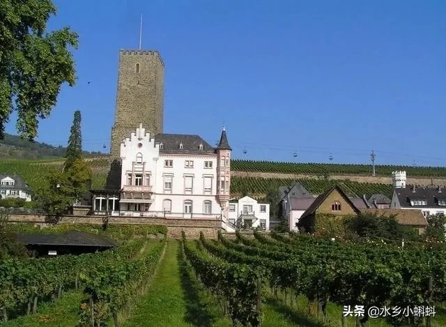 休闲农庄如何变身农业旅游景区?