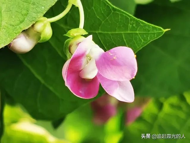 退休后想在附近农村租个房