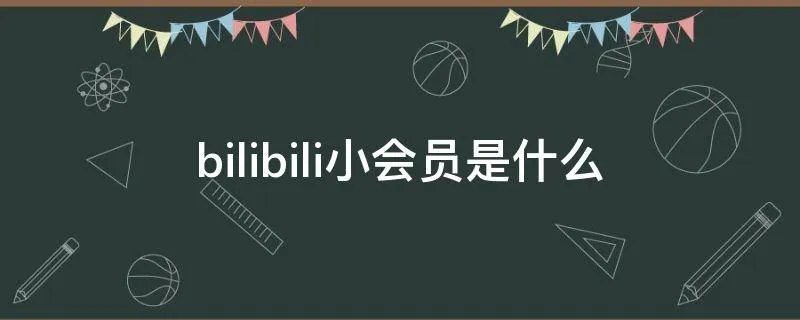 bilibili小会员是什么