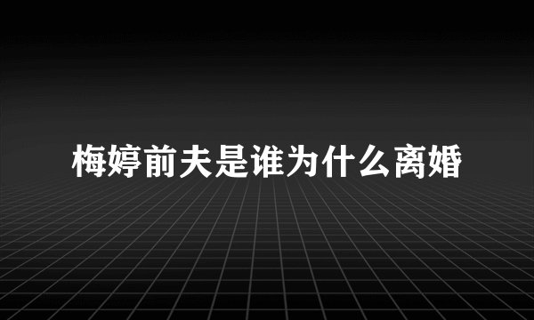 梅婷前夫是谁为什么离婚