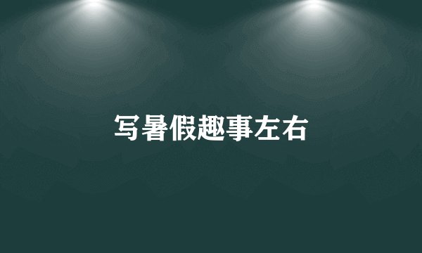 写暑假趣事左右