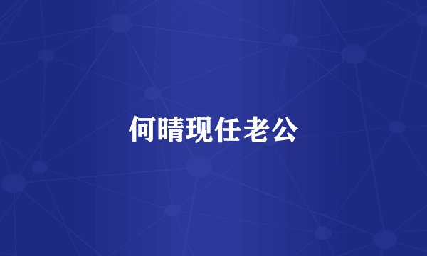 何晴现任老公