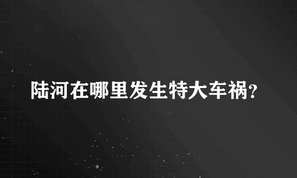 陆河在哪里发生特大车祸?