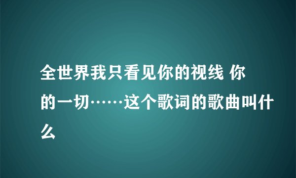 全世界我只看见你的视线 你的一切……这个歌词的歌曲叫什么