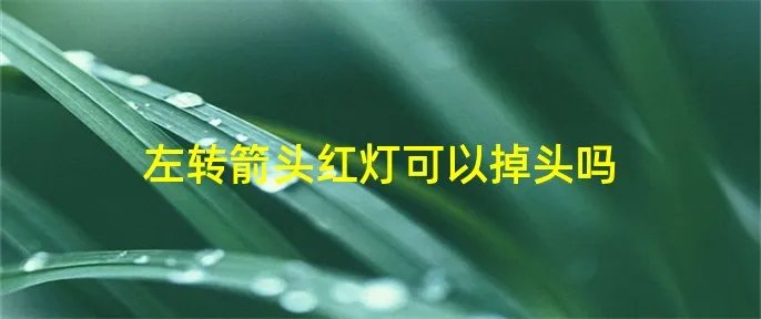 左转箭头红灯可以掉头吗