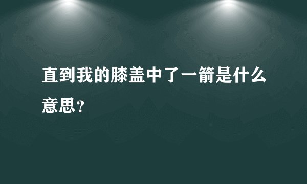 直到我的膝盖中了一箭是什么意思？