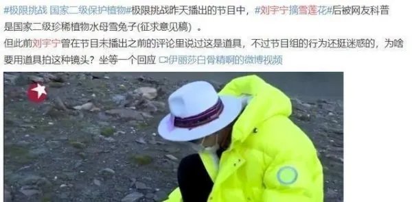 为何做错事情的刘宇宁，却遭到了17万人的点赞？