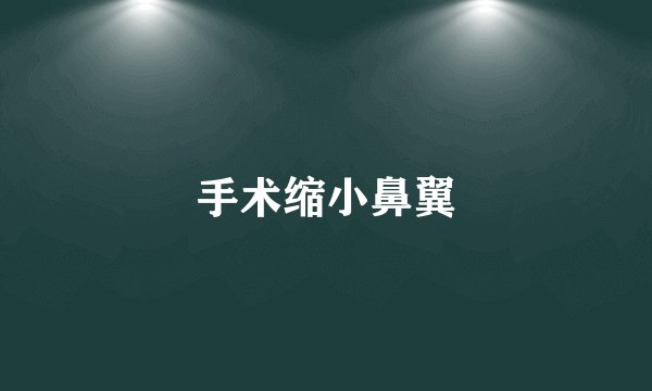 手术缩小鼻翼