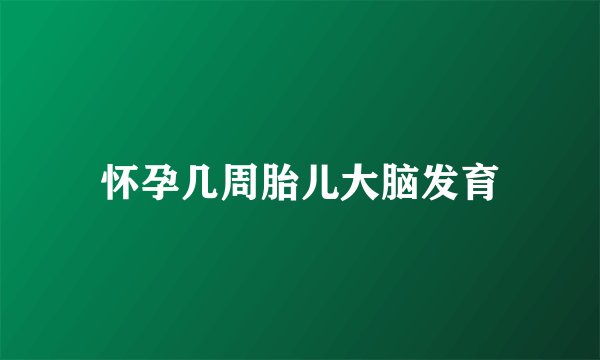怀孕几周胎儿大脑发育