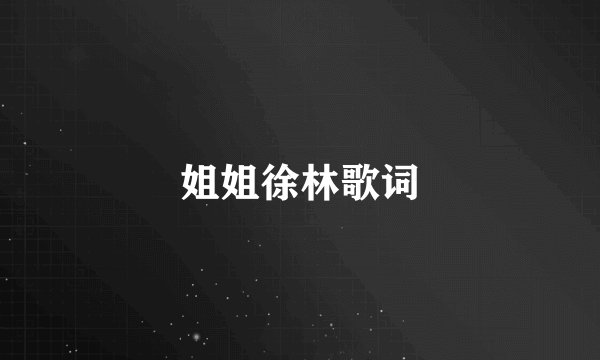姐姐徐林歌词