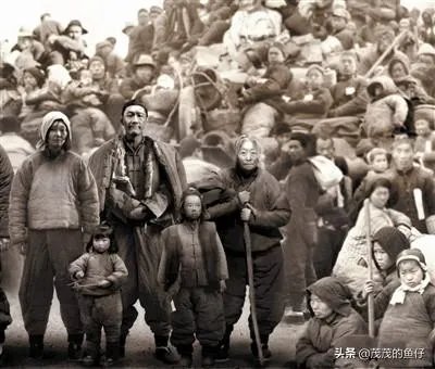 看过冯小刚的电影《1942》吗?感觉这部电影怎么样?