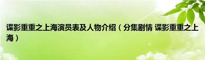 谍影重重之上海演员表及人物介绍（分集剧情 谍影重重之上海）