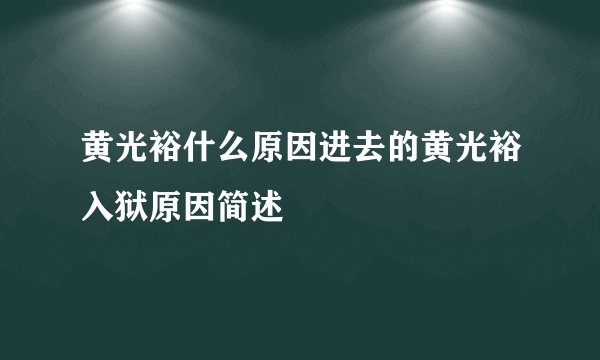 黄光裕什么原因进去的黄光裕入狱原因简述
