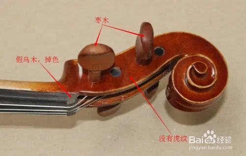 如何选购小提琴?初学者怎样选择小提琴?