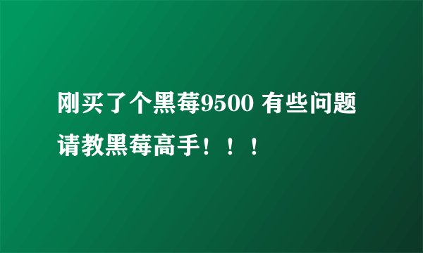 刚买了个黑莓9500 有些问题请教黑莓高手！！！