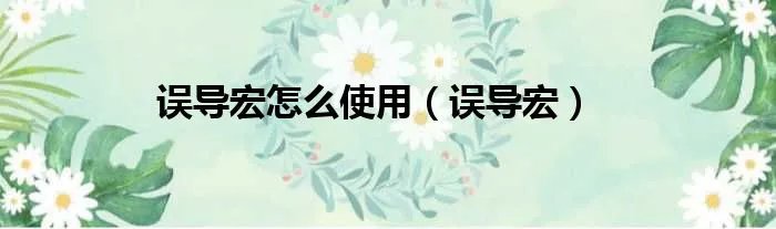 误导宏怎么使用（误导宏）