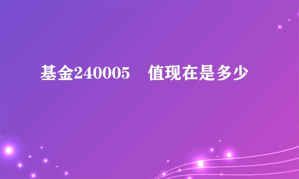 基金240005淨值现在是多少