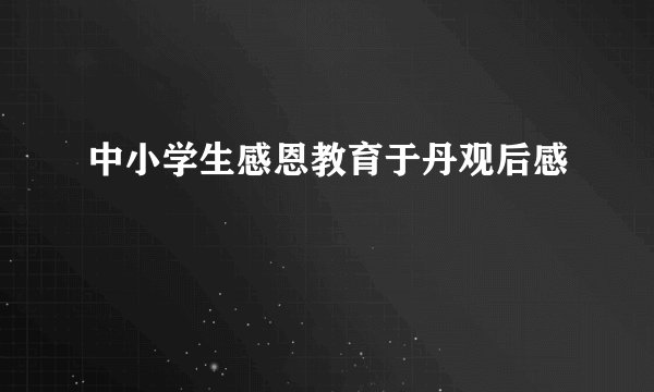 中小学生感恩教育于丹观后感