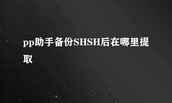 pp助手备份SHSH后在哪里提取