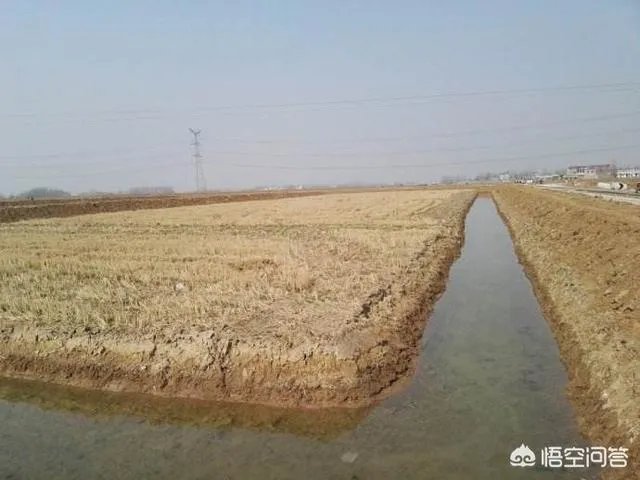 有人说现在全国各地都在扩养小龙虾,现在入市还来得及吗?