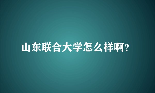 山东联合大学怎么样啊?