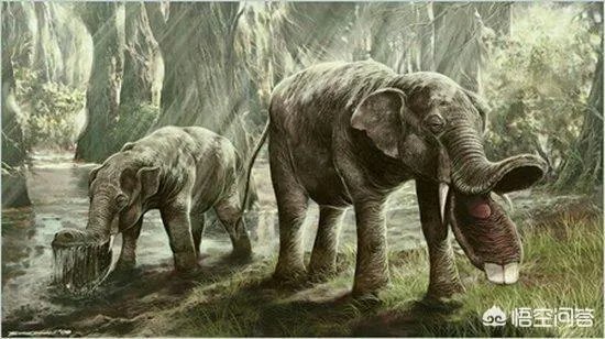 同在一个星球生存,史前动物的体型为什么都很巨大?例如:恐龙?