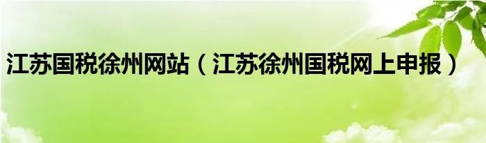 江苏国税徐州网站（江苏徐州国税网上申报）