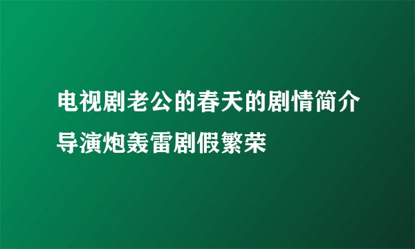 电视剧老公的春天的剧情简介导演炮轰雷剧假繁荣