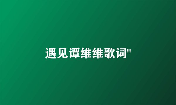 遇见谭维维歌词