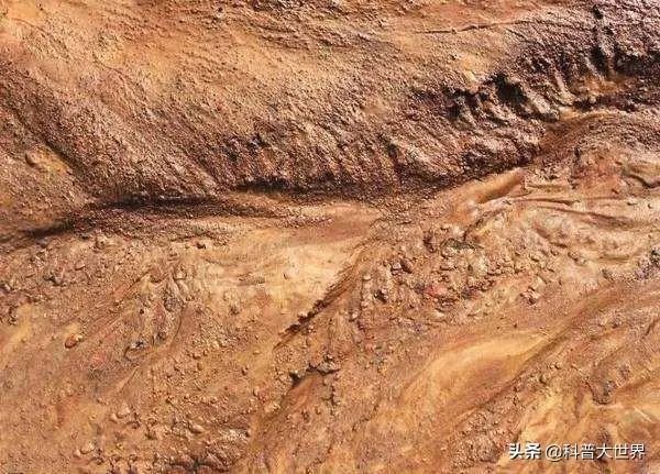 昆虫学家声称在火星上有重大发现,其理由是否充分?