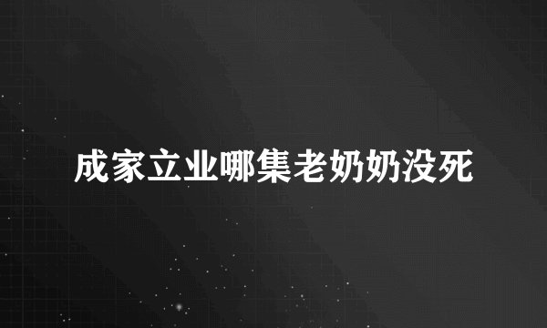 成家立业哪集老奶奶没死