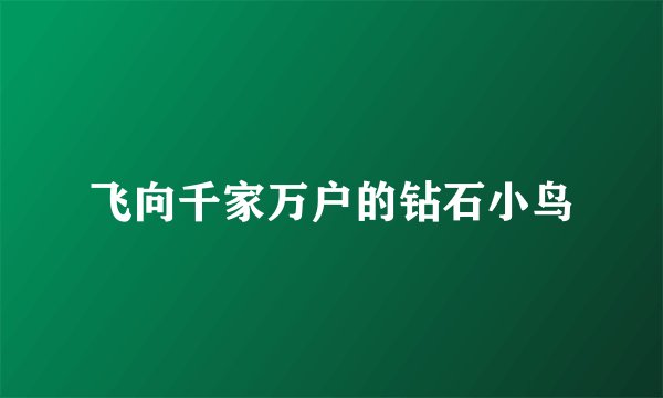 飞向千家万户的钻石小鸟