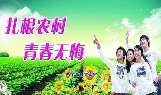你怎么看待大学生村官？