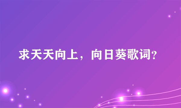 求天天向上，向日葵歌词？