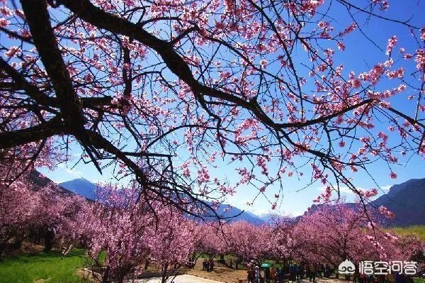 国内有哪些地方被誉为是“摄影人的天堂”?