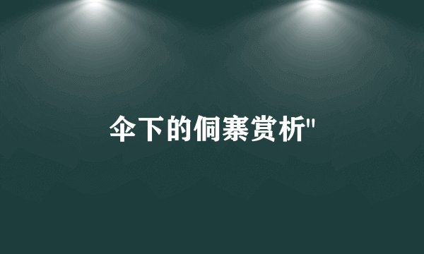 伞下的侗寨赏析