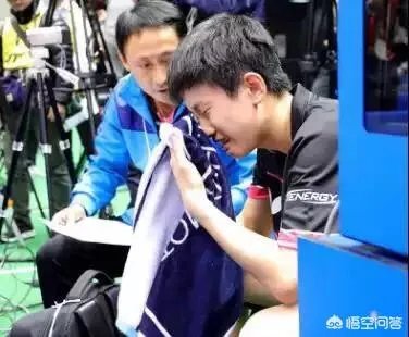 樊振东虽然获得了亚洲杯冠军,但国内媒体说金牌成色不足,你怎么看?