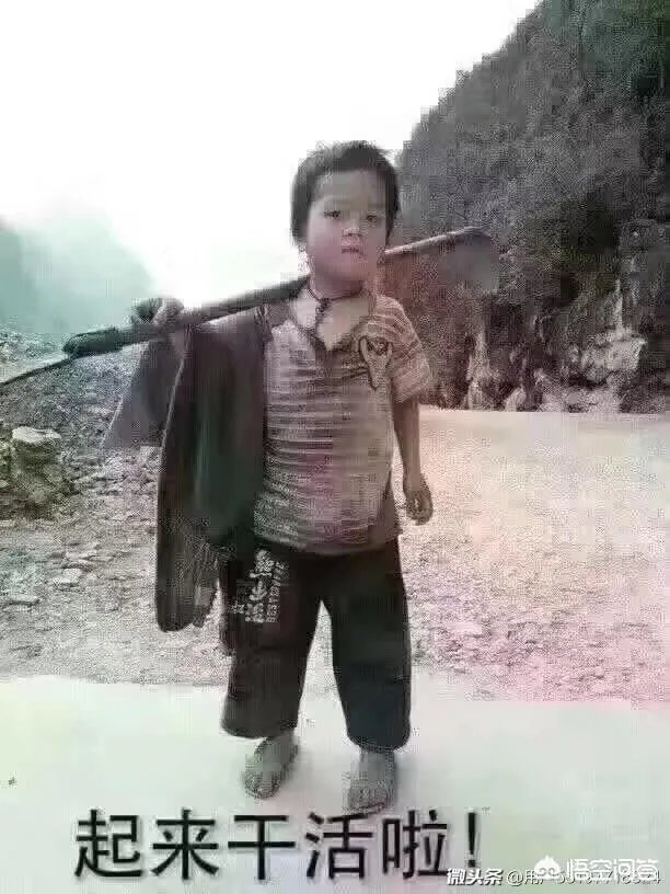 “人生如梦，岁月无情”怎么写藏头诗？