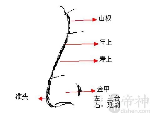 女人鼻子长痣面相图解,女人鼻子长痣好不好?