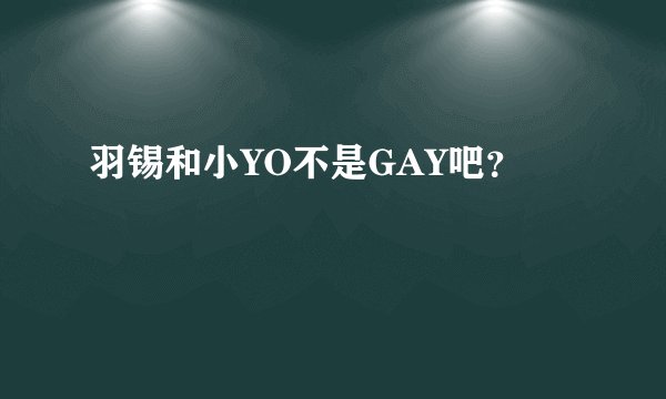 羽锡和小YO不是GAY吧?