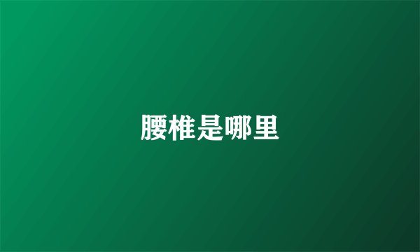腰椎是哪里